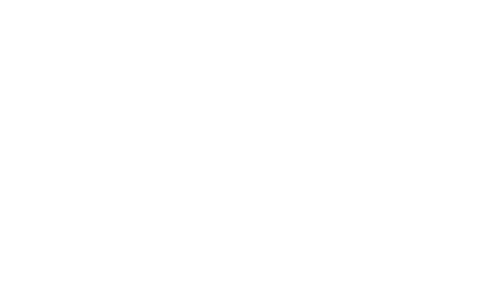 Born Logo